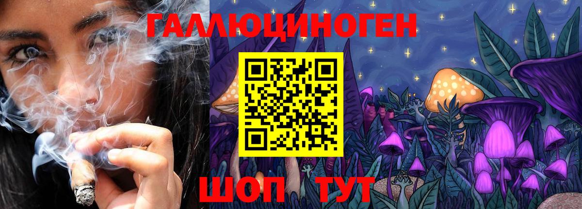 Саров  Псилоцибиновые грибы Psilocybe  Галлюциногенные грибы Psilocybine cubensis  Вход с VPN 